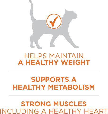 Purina ONE High Protein, Healthy Weight Dry Cat Food, +Plus Ideal Weight with Turkey - 16 lb. Bag