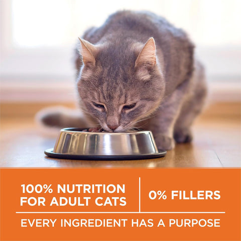 Purina ONE High Protein, Healthy Weight Dry Cat Food, +Plus Ideal Weight with Turkey - 16 lb. Bag